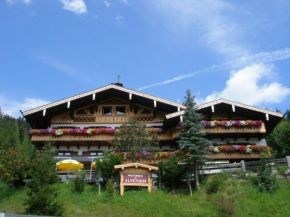 Alpenhof Schwaiger - Hotel Garni Muehlbach Am Hochkoenig